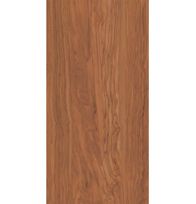 SG565300R Олива коричневый обрезной 60*119.5 керамический гранит